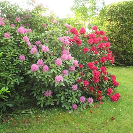 Le Cottage - Chambres D'Hotes Paris Saclay Bures-sur-Yvette Εξωτερικό φωτογραφία