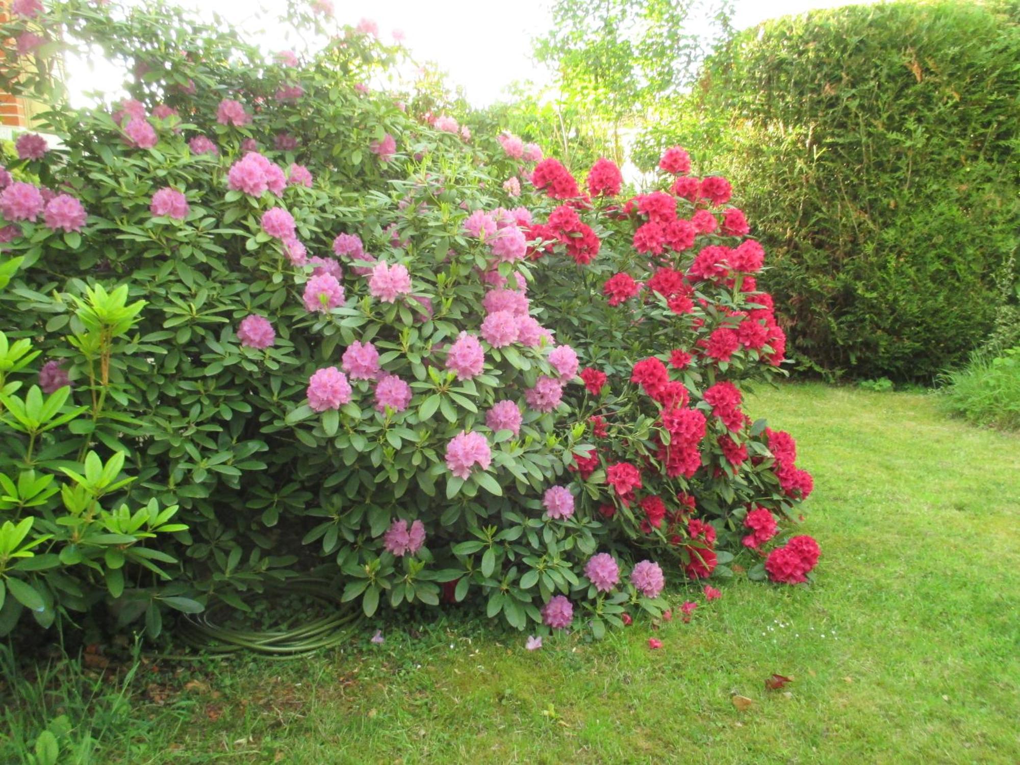 Le Cottage - Chambres D'Hotes Paris Saclay Bures-sur-Yvette Εξωτερικό φωτογραφία