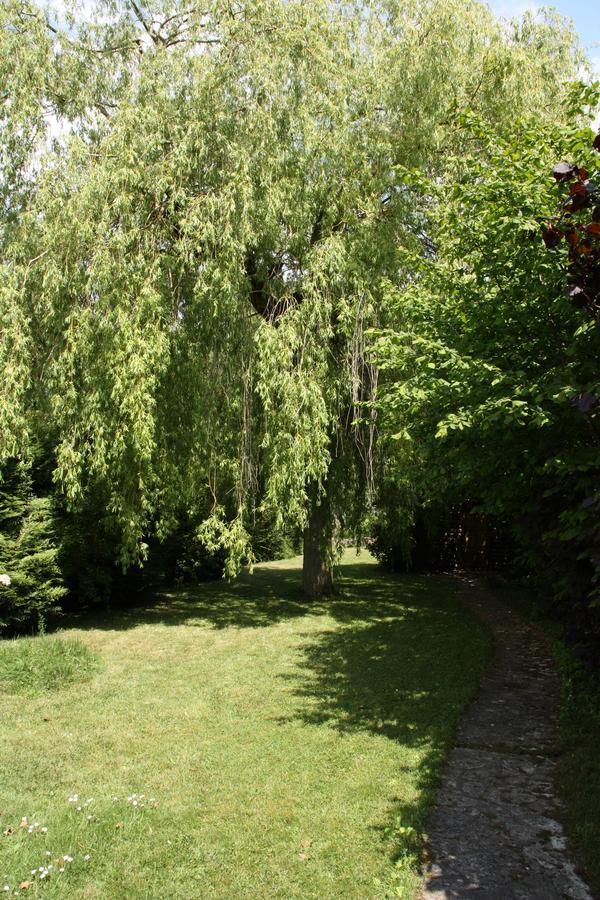 Le Cottage - Chambres D'Hotes Paris Saclay Bures-sur-Yvette Εξωτερικό φωτογραφία